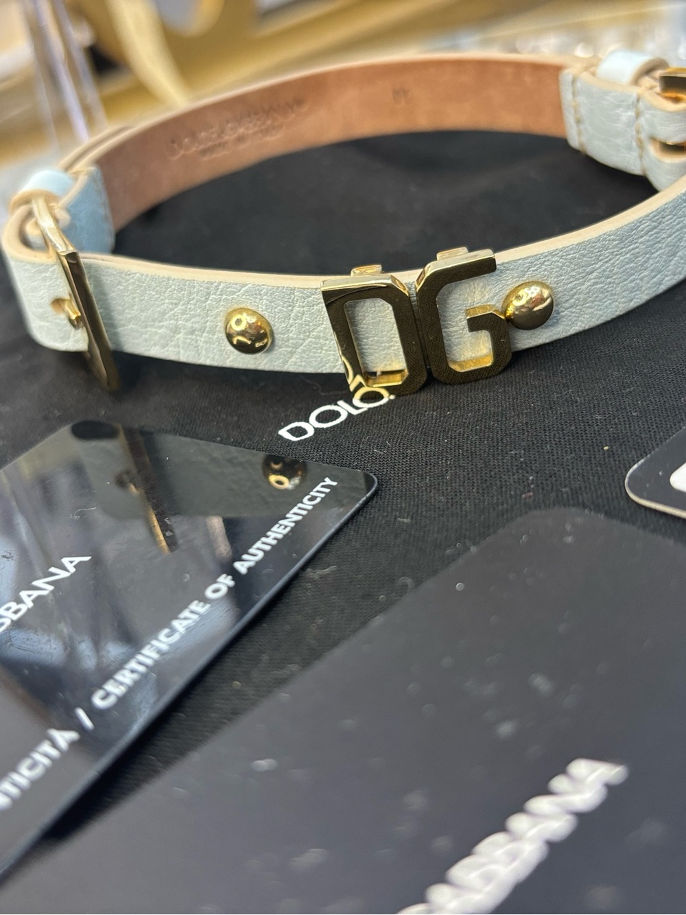 Dolce & Gabbana Celeste Leather dog collar nwot - Picture 4 of 12